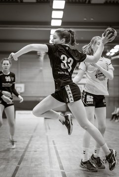 Bild 247 - wBJ SV Henstedt Ulzburg - TSV Altenholz : Ergebnis: 30:13